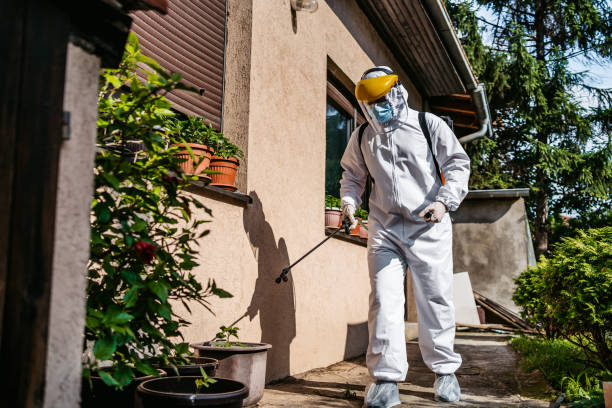 Best Local Pest Control Services  in Silver Ridge, NJ