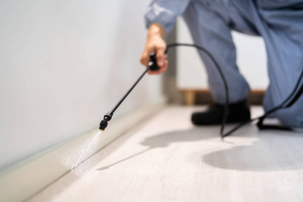 Best Affordable Pest Control Services  in Silver Ridge, NJ