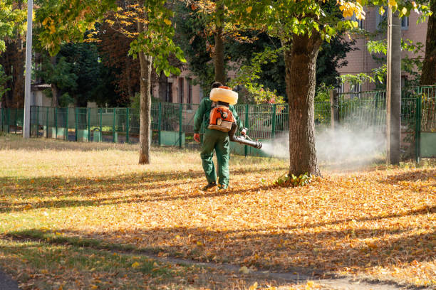 Best Termite Control Services  in Silver Ridge, NJ